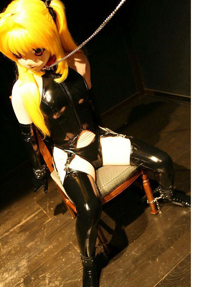 4 adet/takım islak bak PVC Cat - Women'S Fashion Gloves incelemesi ve fiyatı